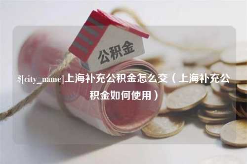 黄山上海补充公积金怎么交（上海补充公积金如何使用）